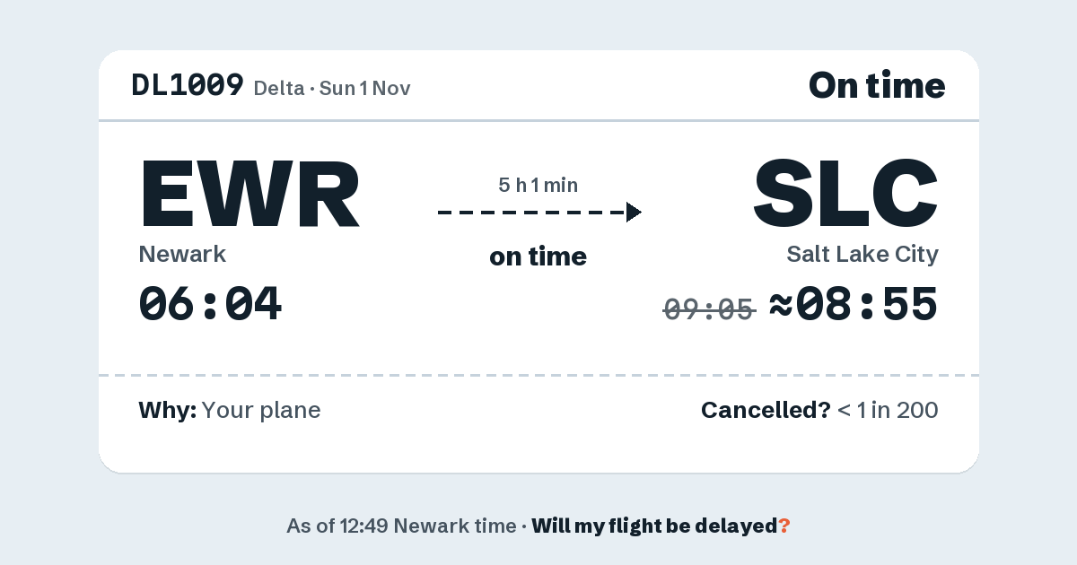 Link preview: DL1009 lands about 08:55
